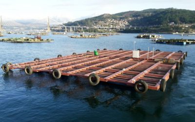 RDC |  Farming rafts for the cultivation of mussels. SELMUS Project, Ría de Arousa.